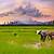 gambar sawah padi yang cantik