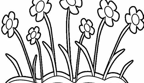 36+ Gambar Bunga Tulip Animasi Hitam Putih - Galeri Animasi