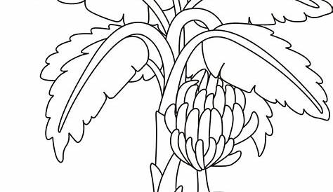 Dunia Sekolah: Gambar Hitam Putih (Drawing) - Bunga & Pokok