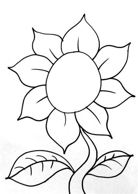 gambar bunga matahari hitam putih