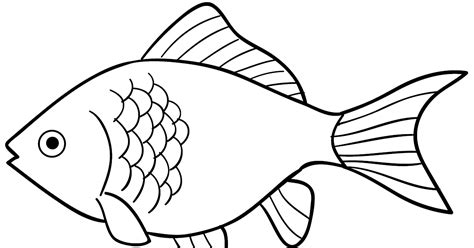 gambar ikan mas hitam putih