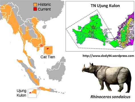 gambar peta tempat badak jawa tinggal