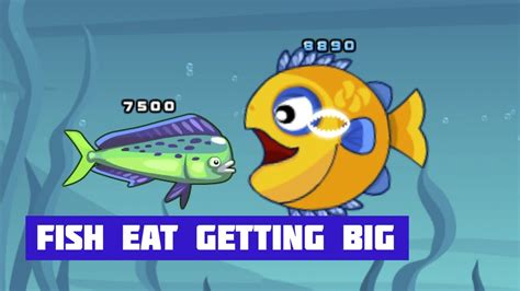 game fish eat big