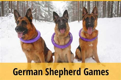 games for german shepherds