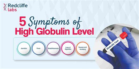 Understanding the Implications of High Gamma Globulin Levels: Causes and Concerns
