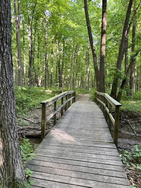 Gander Bay Campground