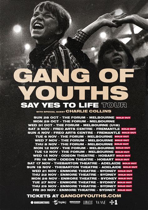 gang of youths poster