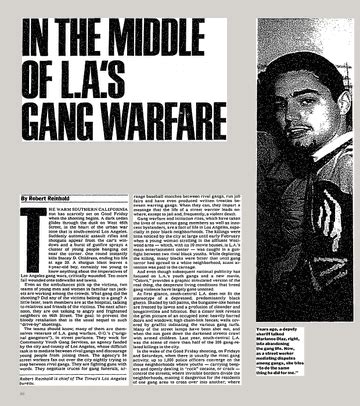 gang violence news articles