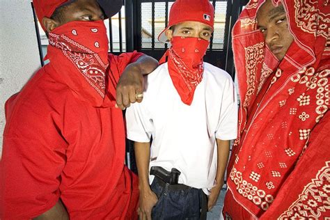 gangs in real life
