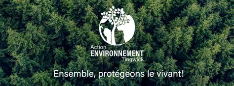 Garage Allison Tingwick