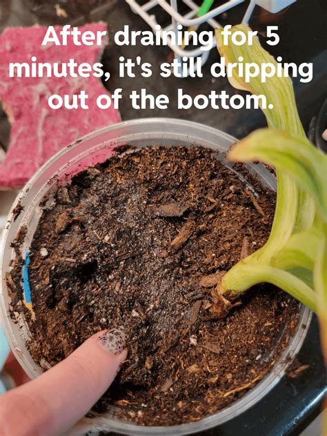 Garbage Can Grow Reddit