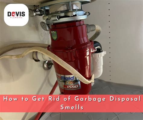 Garbage Disposal Drain Smells
