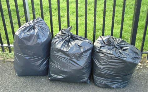 Garbage Disposal In Hamilton