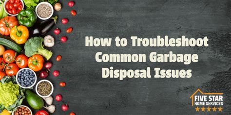 garbage disposal issues