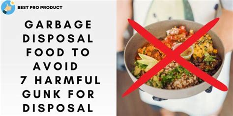 garbage disposal items to avoid