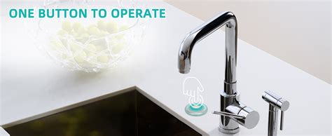 Garbage Disposal Sink Button