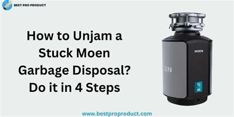 Garbage Disposal Stuck Moen