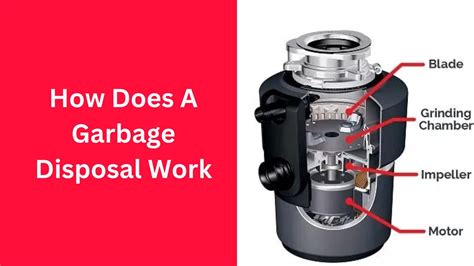 Garbage Disposals Are Useless