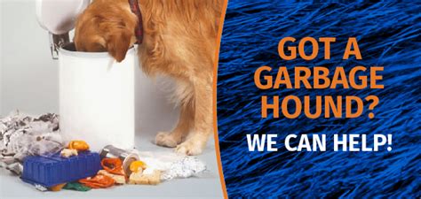 Garbage Hound