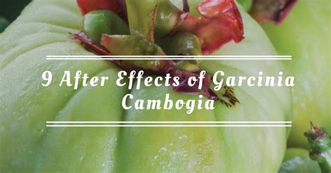garcinia cambogia reviews side effects