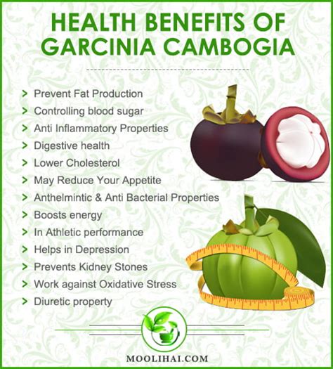 garcinia cambogia side effects and benefits