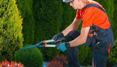 Garden Cleaning Services Near Me