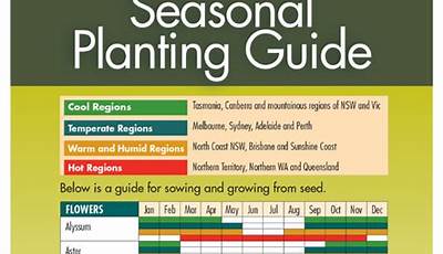 Garden Planting Guide Nz