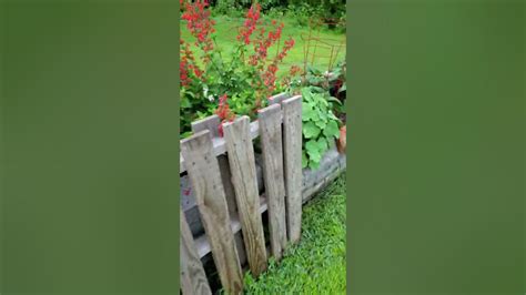 Garden Beds First Year