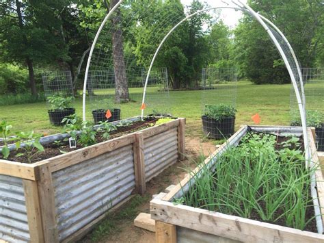 Garden Beds Tin