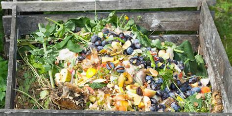 Garden Compost Kitchen Waste