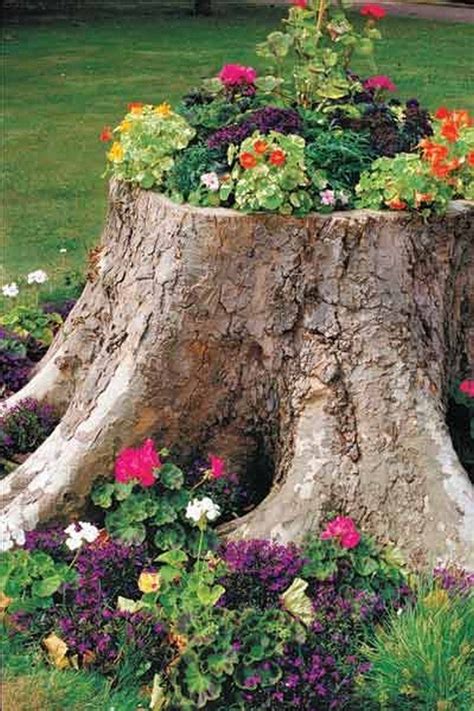 garden design with tree trunk