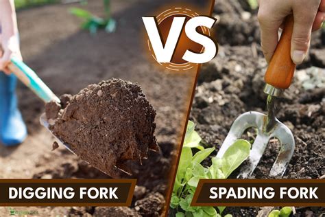 Garden Fork Vs Spading Fork