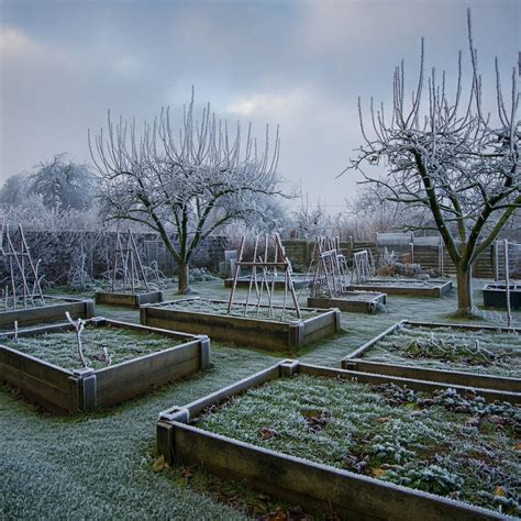 garden freezing