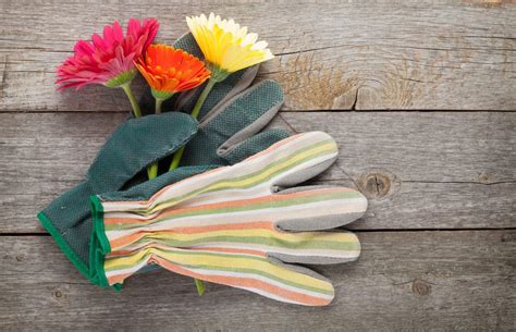garden gloves meaning