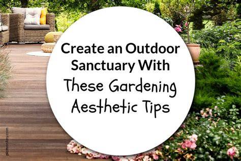 garden ideas aesthetic tips examples tips tutorial tutorial