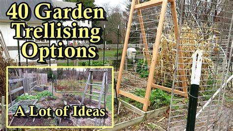 garden ideas collection examples tips examples tutorial examples tutorial DIY