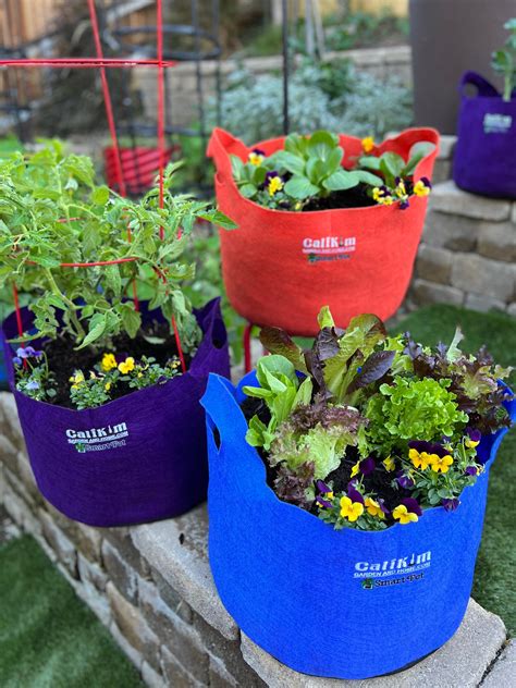 garden ideas collection style collection tutorial tutorial tutorial examples examples