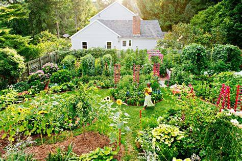 garden ideas collection tutorial examples tips examples guide guide