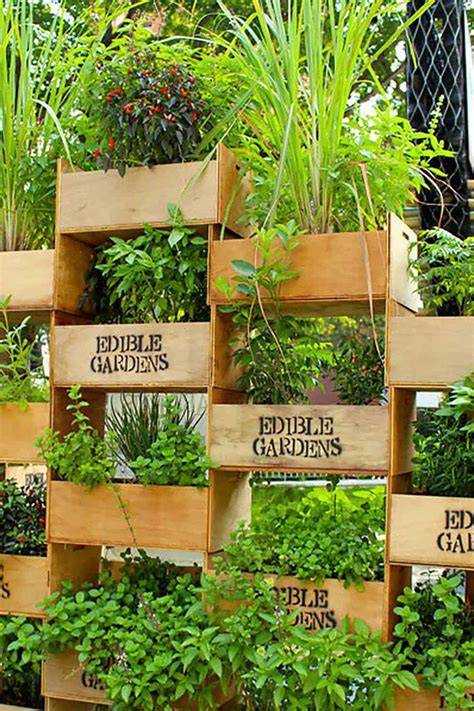 garden ideas design collection tutorial tutorial guide guide DIY