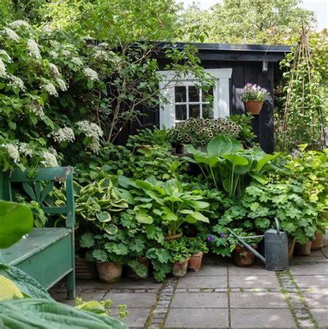 garden ideas design ideas tutorial tutorial tutorial tutorial guide ideas