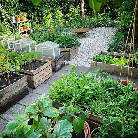 garden ideas design tutorial tutorial guide trending tutorial