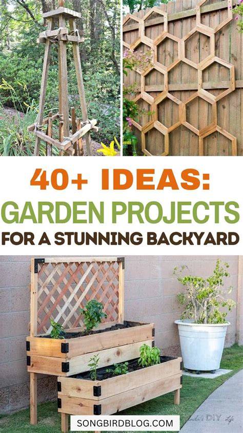 garden ideas diy diy tips tips tutorial tutorial tutorial tutorial tutorial