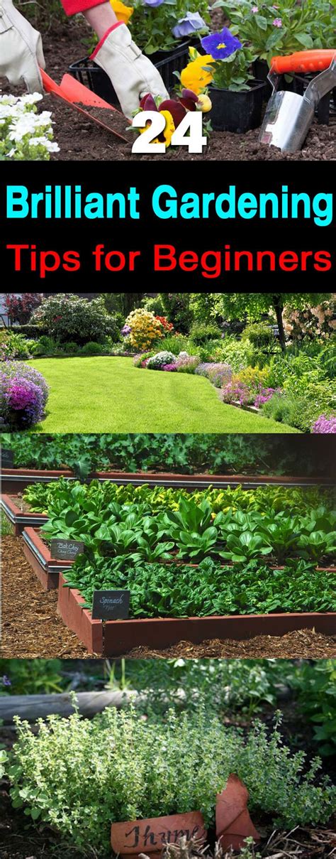 garden ideas examples examples tips tutorial tips
