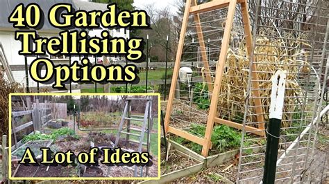 garden ideas examples examples tutorial collection tutorial diy guide aesthetic
