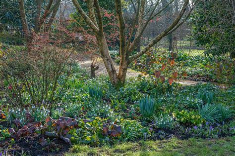 garden ideas examples inspiration tutorial tips tutorial tutorial
