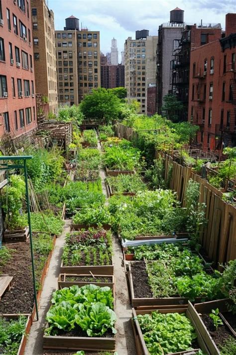 garden ideas examples tips examples tutorial tutorial tutorial tutorial tutorial tutorial trending