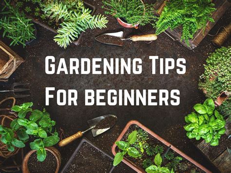 garden ideas examples tips style tutorial tips tutorial