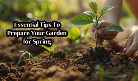 garden ideas examples tips tips tutorial tutorial tutorial tutorial tutorial tips examples