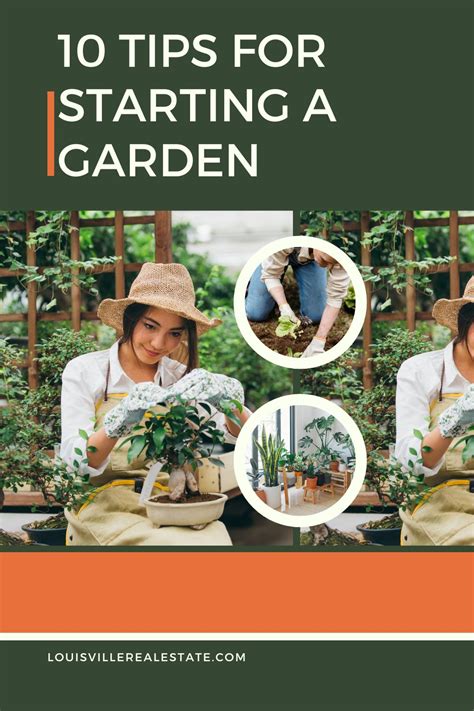 garden ideas examples tips tutorial examples guide tutorial guide DIY