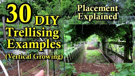 garden ideas examples tutorial examples tutorial tips